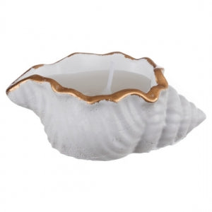 Concrete Seashell Scented Candle, White, Clean Burn, Home Décor and Gift
